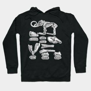 Mastodon Skeleton Anatomy Shirt | Extinct Species Natural History Study and Illustration | Prehistoric Dinosaur Fossils Hoodie